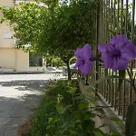 Appartement Nora's